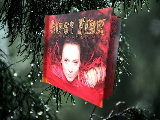 MEDIABOOK Gipsy Fire