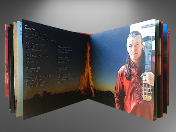 MEDIABOOK Gipsy Fire