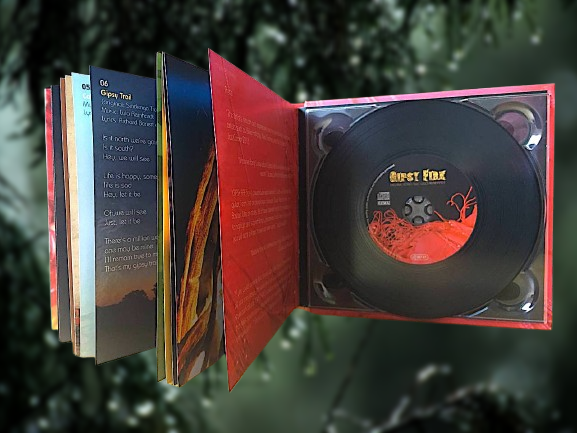 MEDIABOOK Gipsy Fire